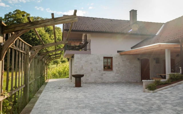 Vineyard cottage Radulja