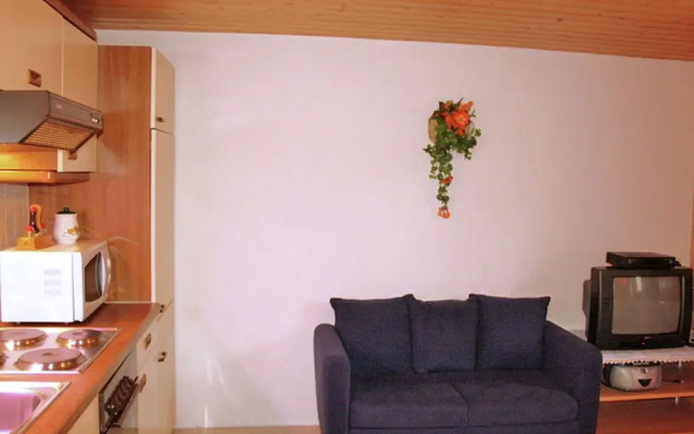 Cozy Apartment near Ski Area in Sankt Gallenkirch