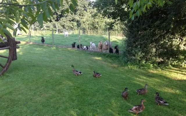 Gîte Les Lierres