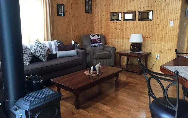 A_wild_woods_retreat