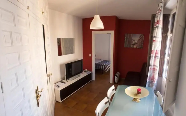 Lujoso Apartamento en Plaza Nueva