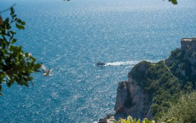 Flat 2 bedrooms 1 bathroom - Conca dei Marini