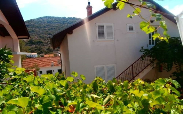 Apartment Vido