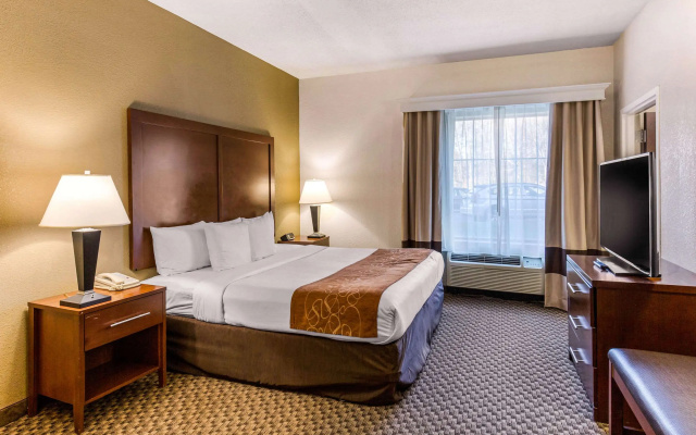 Comfort Suites Elkridge Columbia Gateway