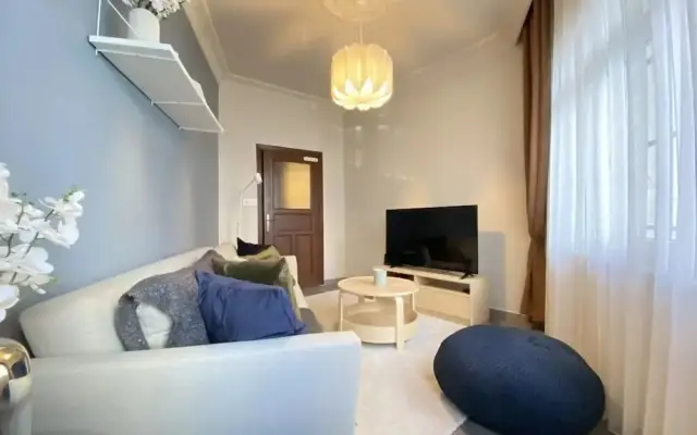 Capacious Flat Near Taksim Square in Beyoglu