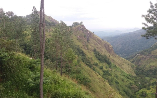 Mellow Homestay