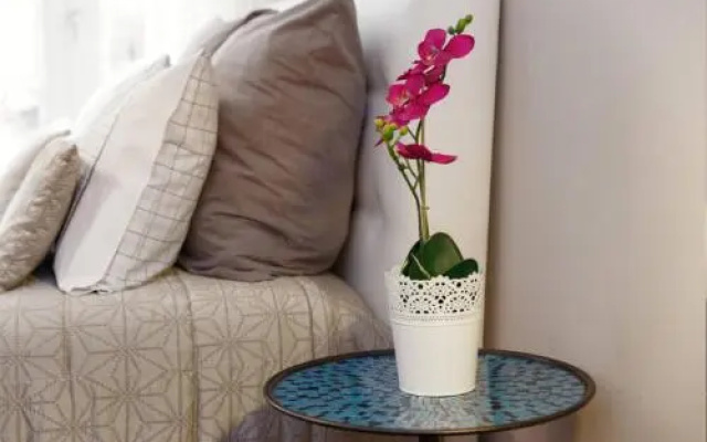 Luxury Apartment In Cardosas