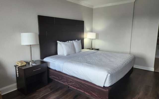 B&B HOTEL Jacksonville Airport – Newly Renovated!