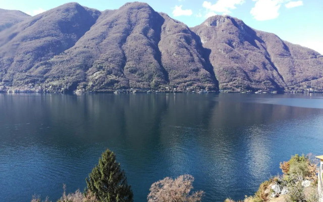 Giardino sul lago, La Vigna