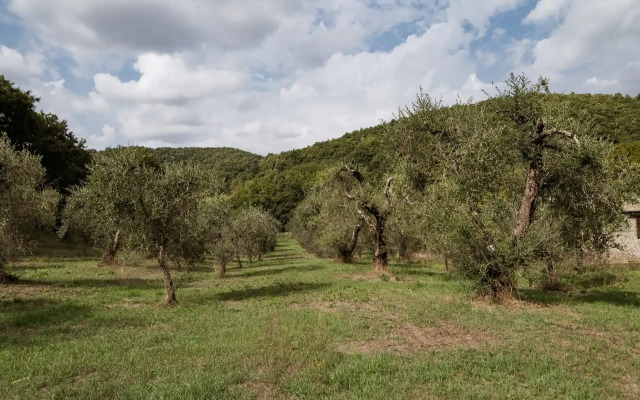 Borgo La Ferriera