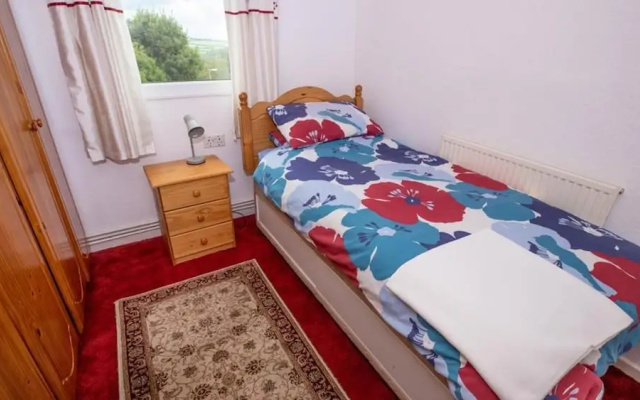 Teifi Lodge 3