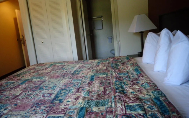 Regal Inn - Chicago O'Hare Airport