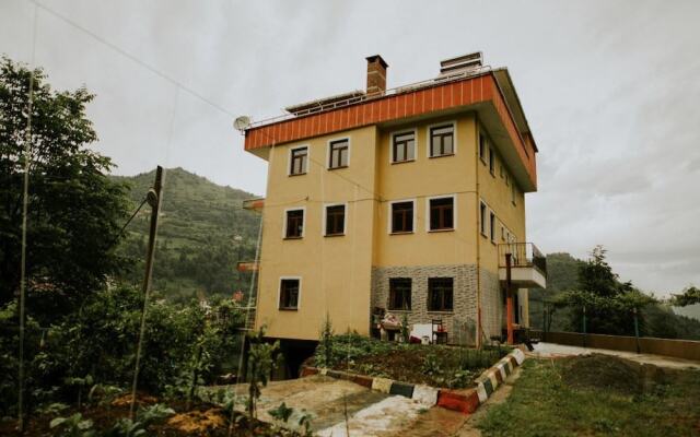 Deniz Apart Турция, Чамлыхемшин - отзывы, цены и фото номеров - забронировать отель Deniz Apart онлайн