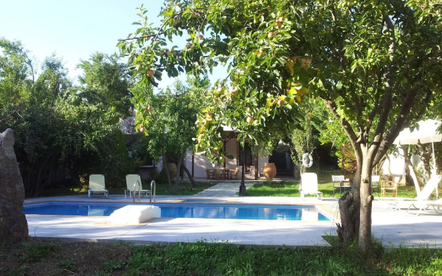 Zeus House Gaia
