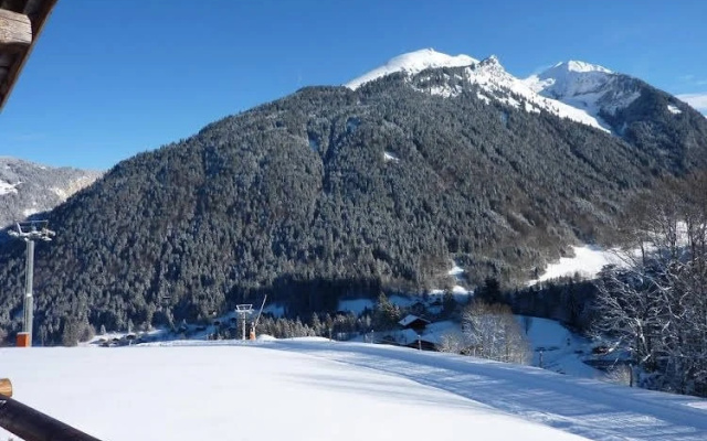 Chalet les Fys