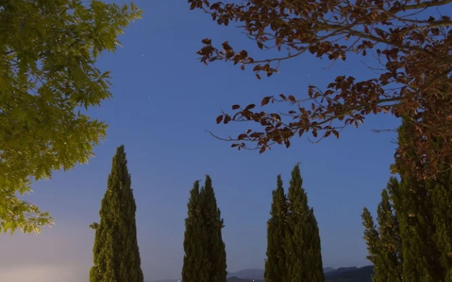 Volognano