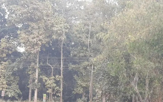 Premier Jim Corbett Home Stay