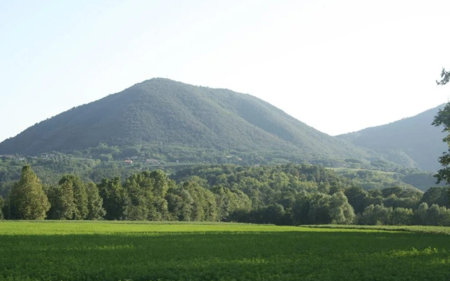 Aiceltis