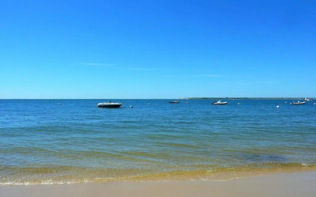 Appartement Arcachon, 2 pièces, 6 personnes - FR-1-420-84