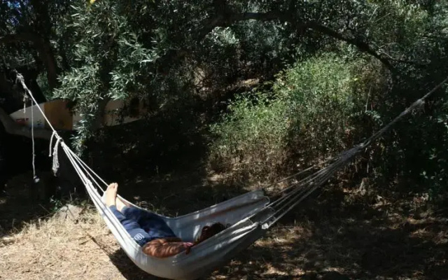Surf N Sand Hostel