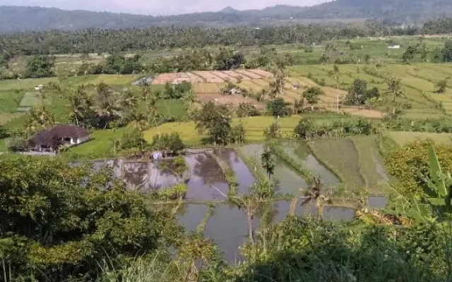 Pondok Alam Bukit