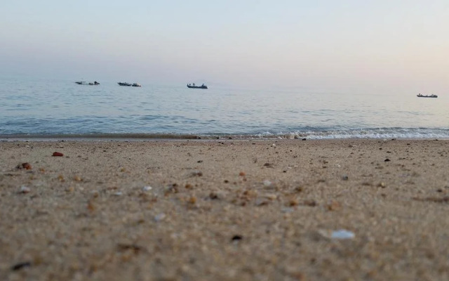 Xiamen Haiben Guoshu