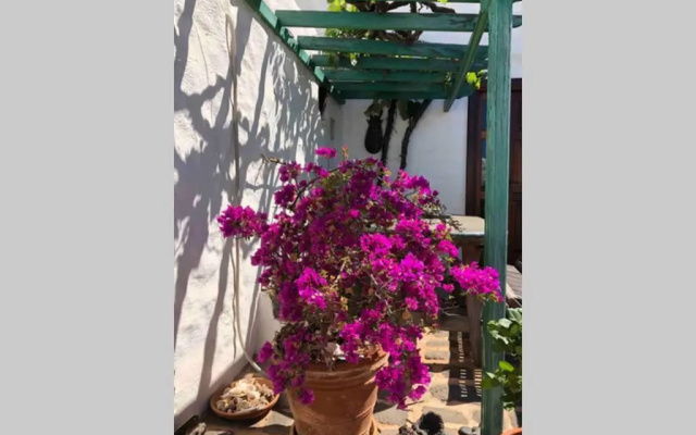 Casa Alegria II
