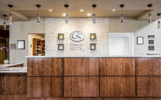 Comfort Suites Woodland - Sacramento Airport