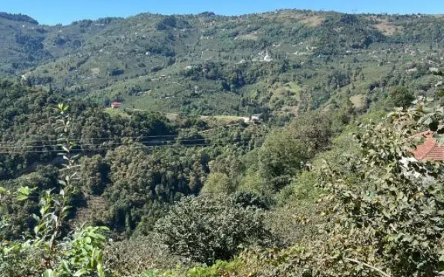House in TRABZON