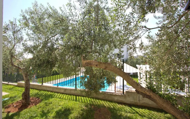 Divine Dalmatia Apartments