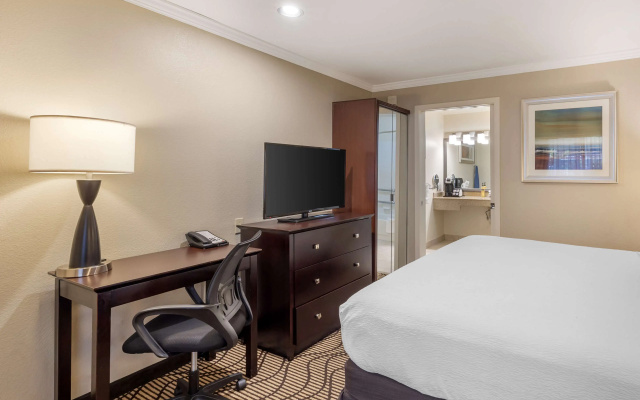 Best Western Plus Orchid Hotel & Suites