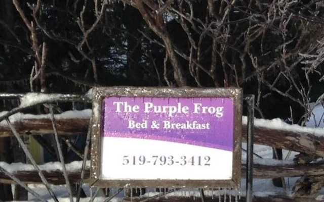 The Purple Frog Bed & Breakfast