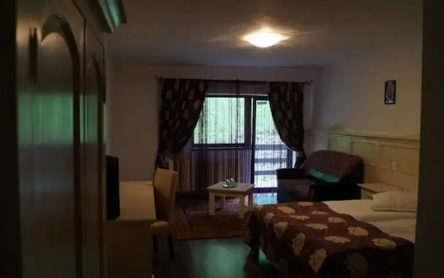 Hotel Craiasa 1
