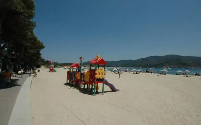 Bouganville 2