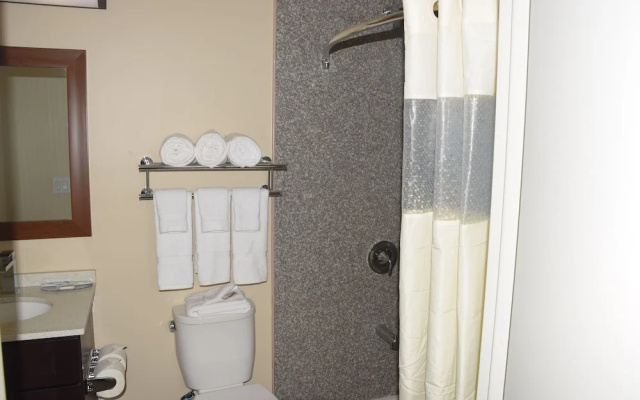 Astoria Delancy Inn and Suites