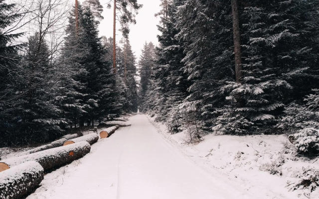 Wanderlust Panorama - Leben im Nationalpark