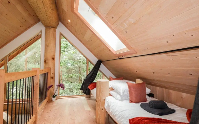Pine Marten Lodge