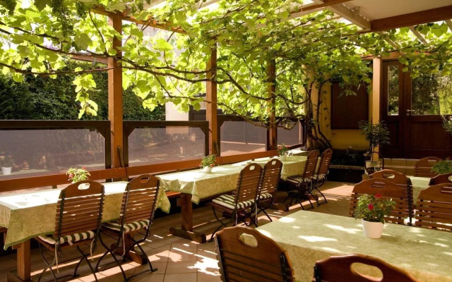 Hotel Vulkan Stuben