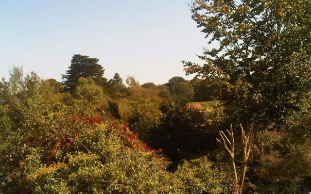 Forest Gate Lodge
