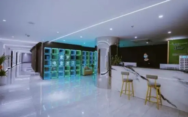 Solo E-sports Homestay (Boutique)