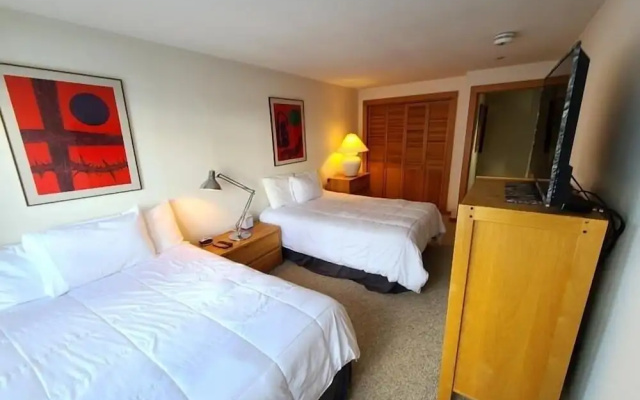 Northwoods Condo Private Ski-In Ski-Out Access to Vail Mountain by RedAwning