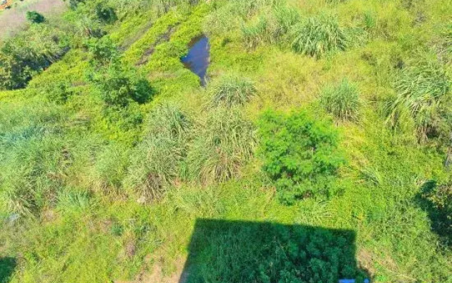 Qingyuan Qingxin Shimai Wenquan Homestay
