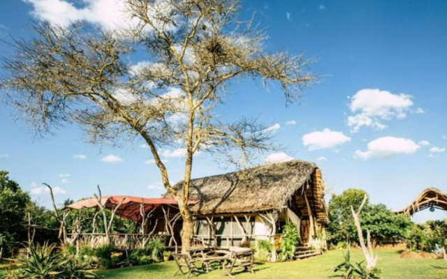Ekorian's Mugie Camp