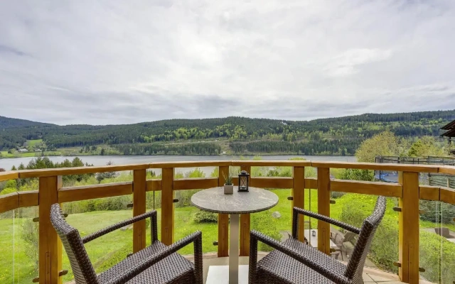 Nature Titisee