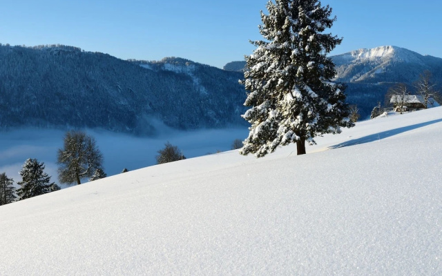 Mountain Chalet With Garden & Parking in Grindelwald
