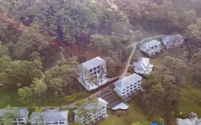 Haven in the Pines