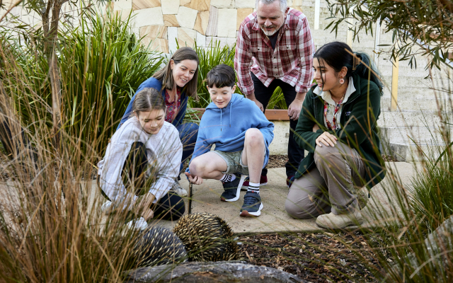 Wildlife Retreat at Taronga
