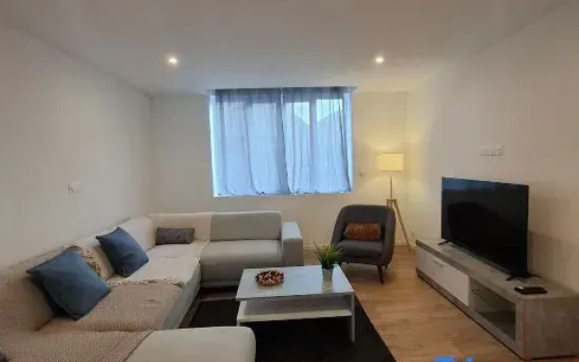 Large and quiet apartment next to the city center