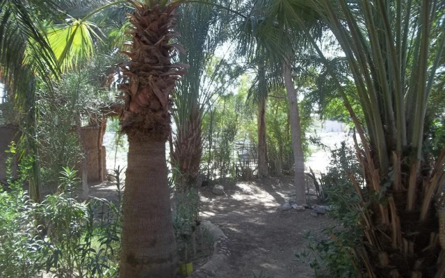 Nour El Gourna