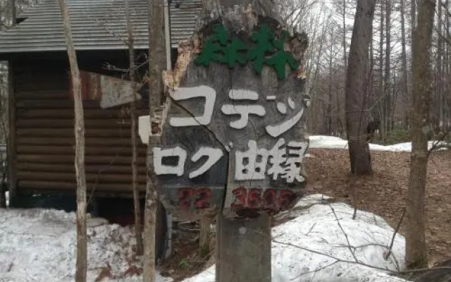 Log Yukari